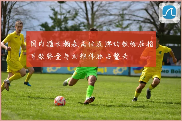 国内擅长瀚森高位发牌的教练屈指可数韩登与刘维伟独占鳌头