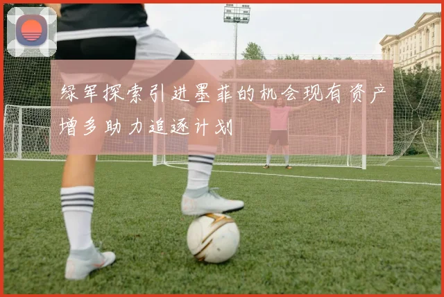 绿军探索引进墨菲的机会现有资产增多助力追逐计划